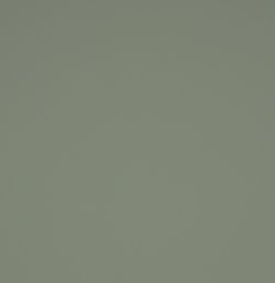 Misty Green